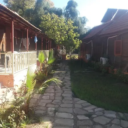 Oll Garden Side